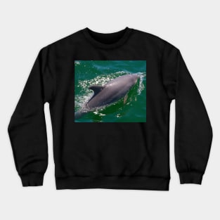 The Dolphin! Crewneck Sweatshirt